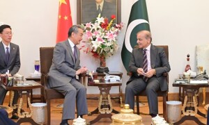 China affirms commitment to working with Pakistan on regional peace and stability