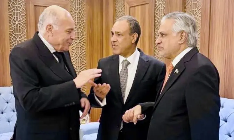 Dar vows to boost Pakistan’s ties with Egypt, Algeria through broader cooperation