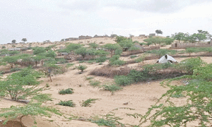 Tharparkar in dire need of rain to escape famine: local community