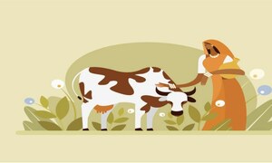 Agriculture: Reviving and developing the livestock sector