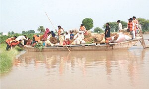 Displacement, crop devastation as Indus floods ravage South Punjab
