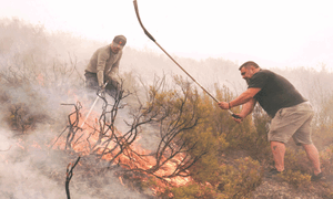 Wildfires burn over record one million hectares in EU