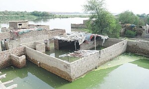 Evacuation planned as Sindh braces for high flood in Indus River