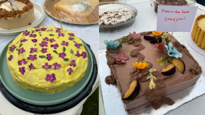 Cake, community and a safe space: Karachi hosted its very first Cake Picnic this weekend