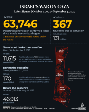 SEE: Deaths and damage across Gaza since Oct 2023