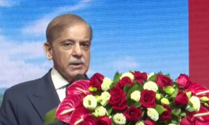 چینی سرمایہ کار پاکستان میں سرمایہ لگائیں، تمام سہولتیں مہیا کریں گے، وزیراعظم