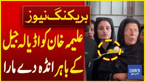علیمہ خان کو اڈیالہ جیل کے باہر انڈہ دے مارا