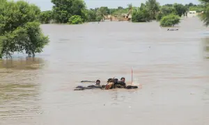 دریائے ستلج میں پھر بڑے سیلاب کا خطرہ، بھارت نے پھر الرٹ سے آگاہ کردیا