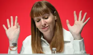 پورا پراپرٹی ٹیکس ادا نہ کرنے پر برطانیہ کی نائب وزیراعظم عہدے سے مستعفی