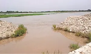 17 booked for attempting to breach dyke in Chishtian