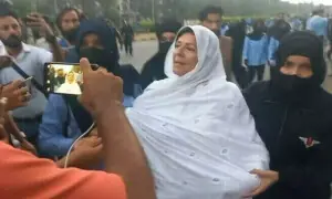 امریکا میں جائیدادوں سے متعلق سوال پر پی ٹی آئی کارکنان کا صحافیوں پر تشدد، علیمہ خان کیخلاف مقدمہ درج