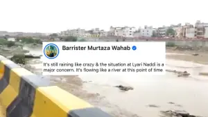 &lsquo;The river is flowing like a river&rsquo;: Karachi mocks mayor Murtaza Wahab&rsquo;s post as the city floods again