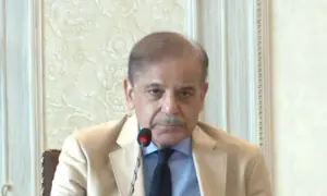 Govt to announce climate, agriculture emergency, says PM Shehbaz
