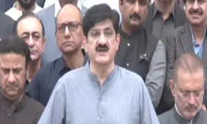 Murad Ali Shah stresses &lsquo;collective solution&rsquo; from centre, provinces to face climate change