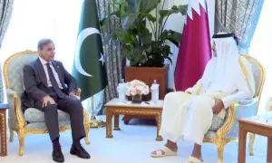 In meeting with Qatari emir, PM Shehbaz urges Muslim unity to confront Israeli provocations