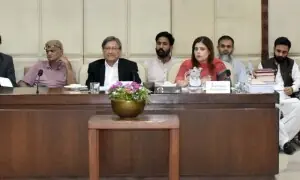 Senate panel approves reforms in family laws