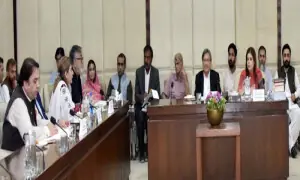 دیت کی مالیت 45 کلو چاندی، سینیٹ قائمہ کمیٹی میں قوانین میں اصلاحات منظور