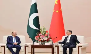پاکستان اور چین کی پائیدار دوستی باہمی احترام اور تعاون پر کھڑی ہے، صدر زرداری