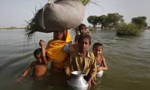 Global lenders’ climate finance hits record $137bn in 2024
