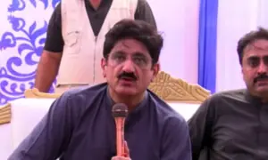 زرعی ایمرجنسی پر وزیراعظم کا شکریہ، حکومت جلد عالمی امداد کی اپیل کرے، وزیراعلیٰ سندھ