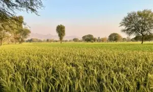 Updating agri-lending