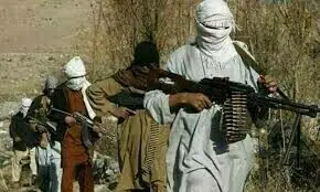 خیبرپختونخوا: 1351 انتہائی مطلوب دہشتگردوں کی سروں کی قیمت 4 ارب سے زائد مقرر