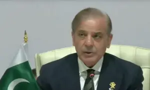اسرائیلی توسیعی منصوبوں کو روکنےکیلئے ٹاسک فورس قائم کی جائے، شہباز شریف