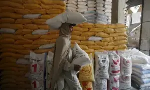 Wheat hoarding scam unearthed in Sargodha