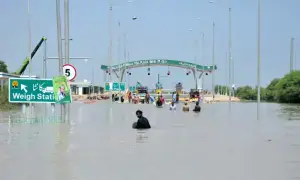 Punjab heartland grapples with massive displacement