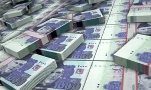 عالمی پیمانے کے مطابق قرضوں کے لحاظ سے پاکستان کی پوزیشن بہتر ہوئی ہے، وزارت خزانہ