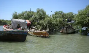 سندھ کا سیلاب جو انڈس ڈیلٹا کے لیے خوشحالی کا پروانہ ہوتا ہے