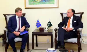 یورپی یونین کے سفیر کی وزیر خزانہ سے ملاقات، تجارت و سرمایہ کاری کے تعلقات مزید مضبوط بنانے پر زور