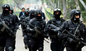 تین ماہ کے دوران پنجاب میں 89 دہشت گردوں کو گرفتار کیا، سی ٹی ڈی