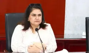 کچھ لوگوں کو بے نظیر انکم سپورٹ پروگرام کے &rsquo;نام سے مسئلہ&lsquo; ہے، سینیٹر روبینہ خالد