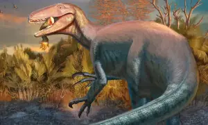 ارجنٹینا میں مگرمچھ کو جبڑوں میں دبائے ہوئے ڈائنو سار کا فوسل دریافت