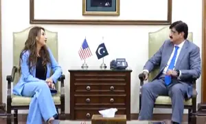 وزیراعلیٰ سندھ سے امریکی ناظم الامور کی ملاقات، صوبے میں سرمایہ کاری پر تبادلہ خیال