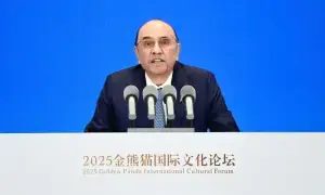 صدر زرداری کے دورہ چین سے دفاعی اور معاشی معاہدوں کی نئی راہیں کھل گئیں