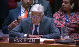 وزارت خارجہ نے شمع جونیجو کی یو این ایس سی اجلاس میں شمولیت سے خود کو الگ کر لیا