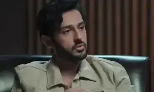 اذان سمیع خان نے بیوی سے متعلق وائرل بیان کی تردید کردی