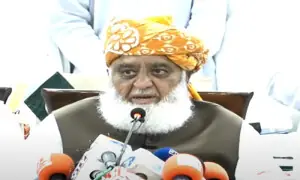 حماس کو اصل فریق تسلیم کیے بغیر کبھی بھی مسئلہ فلسطین حل نہیں ہوسکتا، مولانا فضل الرحمٰن