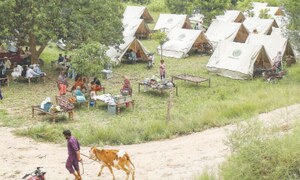 Dykes breached as Chenab, Ravi rivers hit critical levels