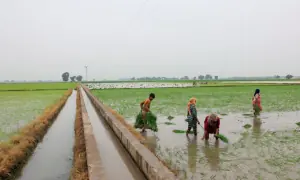 How solar-powered farming is digging Pakistan into a water catastrophe