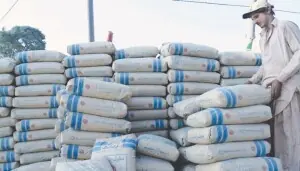 Cement sales rise 16pc