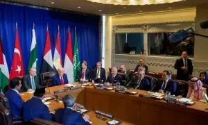 Muslim countries that worked with Trump on Gaza plan welcome Hamas’s ‘steps regarding proposal’: FO