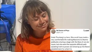 ‘A hero in a world gone silent’: Internet rallies behind Greta Thunberg after reports of assault by Israeli forces