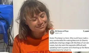 گریٹا تھیونبرگ کے ساتھ اسرائیلی فورسز کے غیر انسانی سلوک پر سوشل میڈیا صارفین شدید برہم