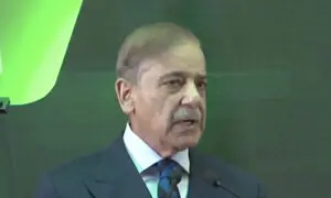 ملائیشیا اور پاکستان ملکر کام کریں تو آئی ایم ایف کو خدا حافظ کہہ دیں گے، شہباز شریف