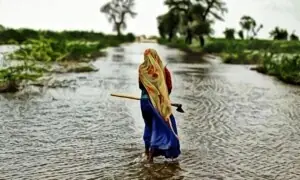 صوبوں کو شامل کیے بغیر کیا پاکستان کا نیا موسمیاتی اہداف کا منصوبہ کامیاب ہوسکتا ہے؟