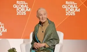ایلون مسک، نیتن یاہو اور ڈونلڈ ٹرمپ کو خلا میں بھیجنا چاہتی ہوں، جین گوڈال کا آخری انٹرویو وائرل
