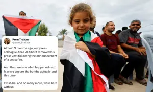 Netizens say the struggle for Palestine ‘will not stop’ amid ceasefire in Gaza